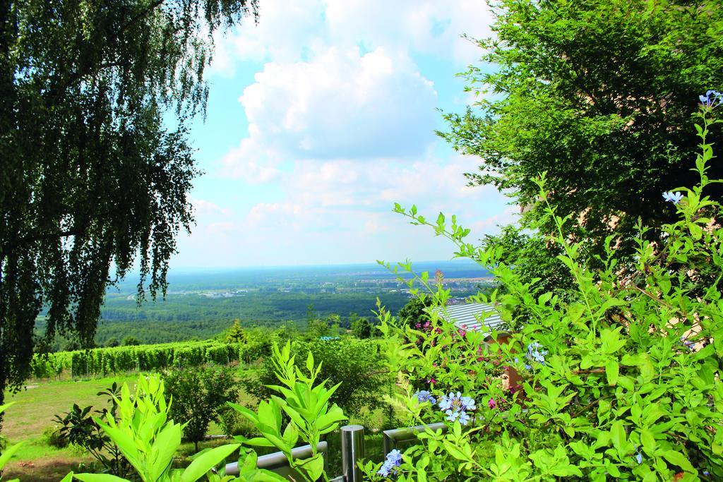 Schoene Aussicht Alzenau Dış mekan fotoğraf