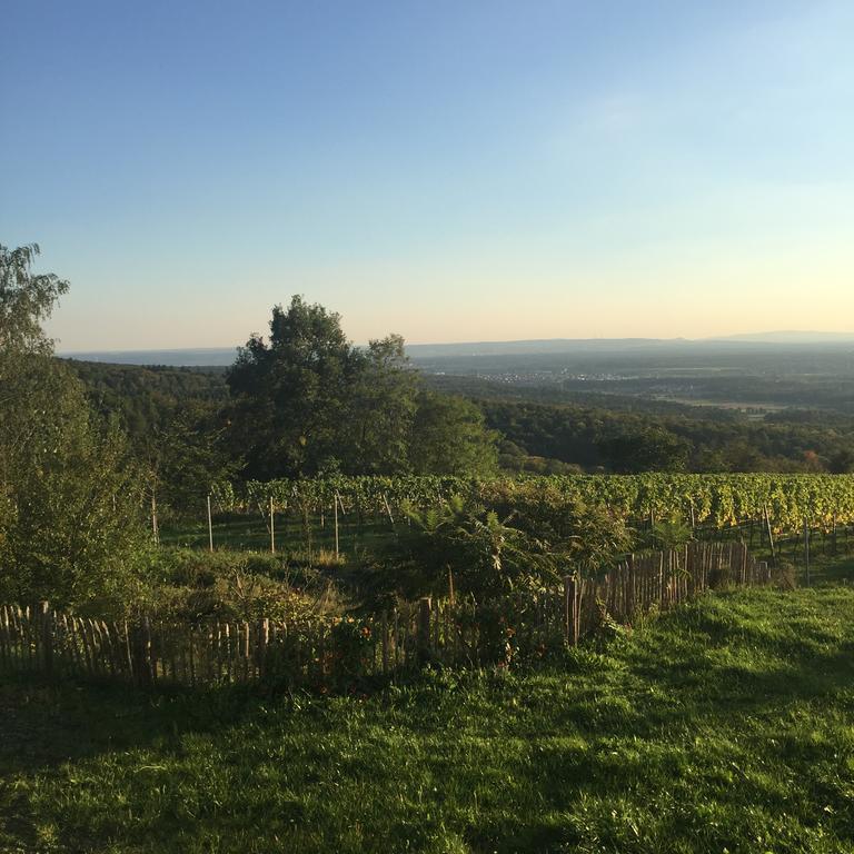Schoene Aussicht Alzenau Dış mekan fotoğraf